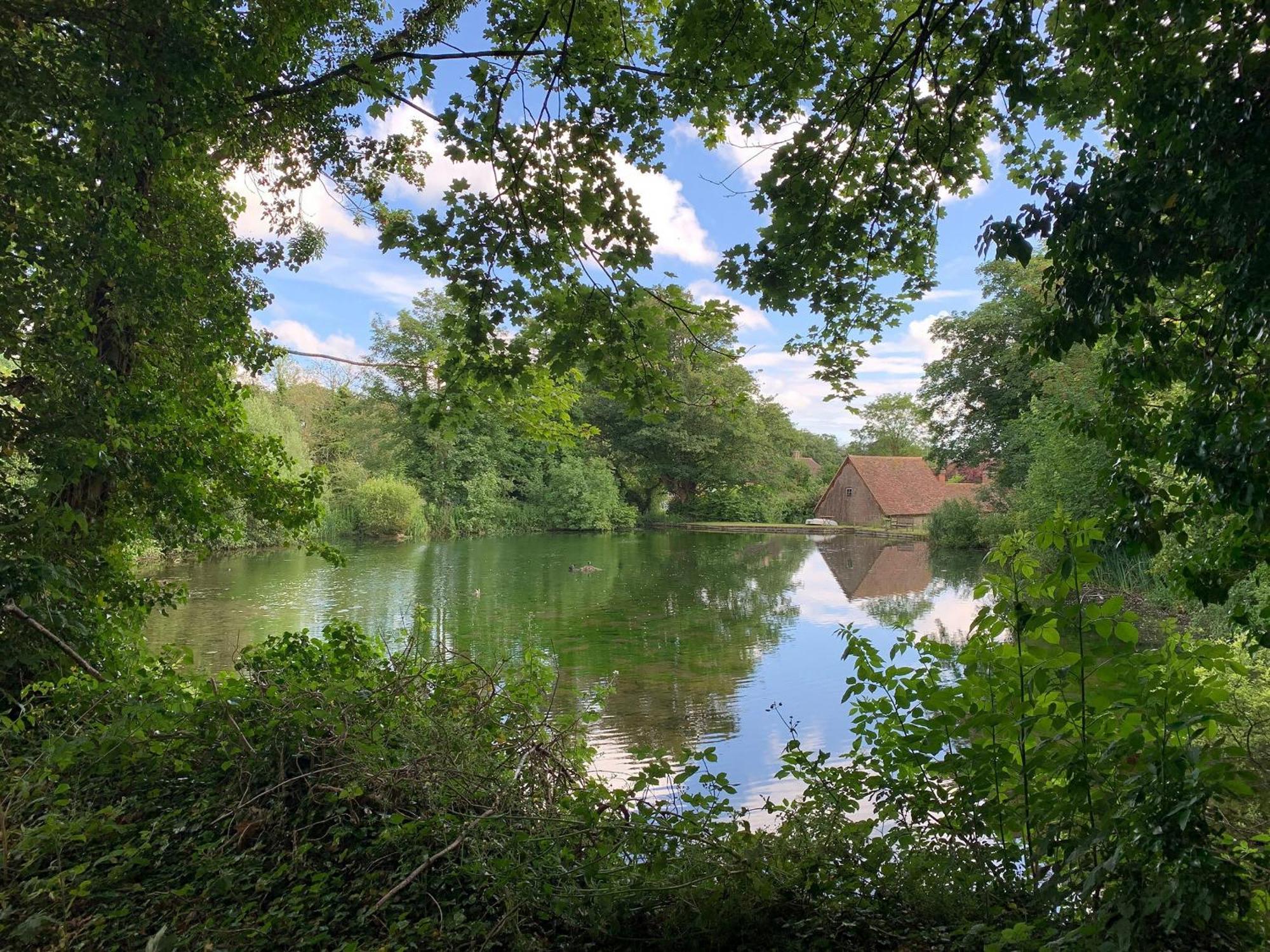 Moorhen Cottage Hollingbourne Exterior photo